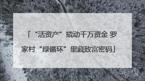 “活资产”撬动千万资金 罗家村“绿循环”里藏致富密码