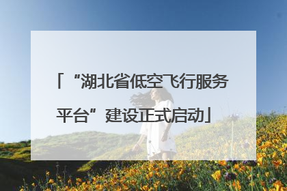 “湖北省低空飞行服务平台”建设正式启动