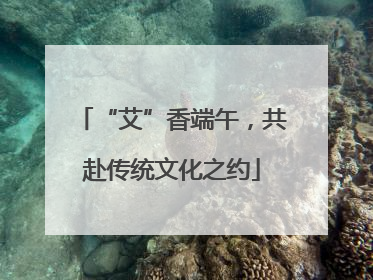 “艾”香端午，共赴传统文化之约