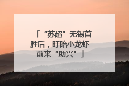 “苏超”无锡首胜后，盱眙小龙虾前来“助兴”