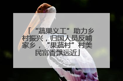 “蔬果义工”助力乡村振兴，归国人员反哺家乡，“果蔬村”村美民富香飘远近