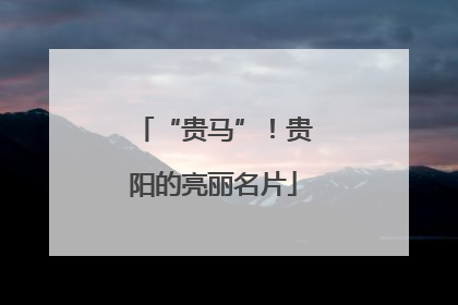 “贵马”！贵阳的亮丽名片