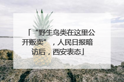 “野生鸟类在这里公开贩卖”，人民日报暗访后，西安表态