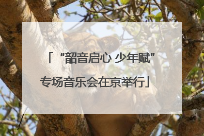 “韶音启心 少年赋”专场音乐会在京举行