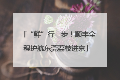 “鲜”行一步！顺丰全程护航东莞荔枝进京