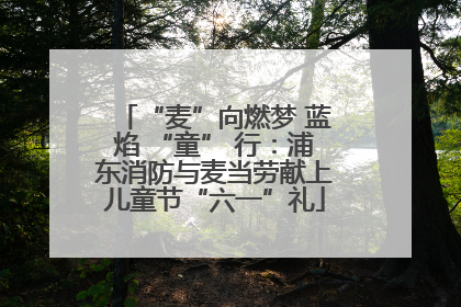 “麦”向燃梦 蓝焰 “童” 行：浦东消防与麦当劳献上儿童节“六一”礼