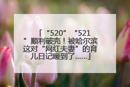 “520”“521”顺利破壳！被哈尔滨这对“网红夫妻”的育儿日记暖到了……