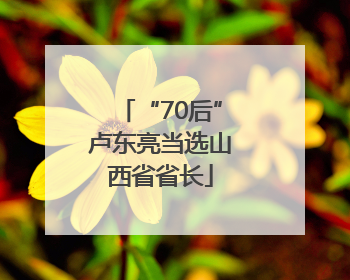 “70后”卢东亮当选山西省省长