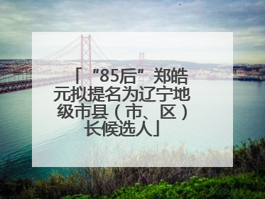 “85后”郑皓元拟提名为辽宁地级市县（市、区）长候选人