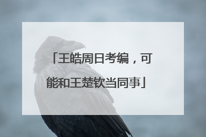 王皓周日考编，可能和王楚钦当同事