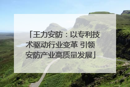 王力安防：以专利技术驱动行业变革 引领安防产业高质量发展