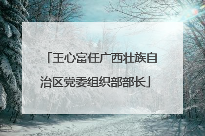 王心富任广西壮族自治区党委组织部部长