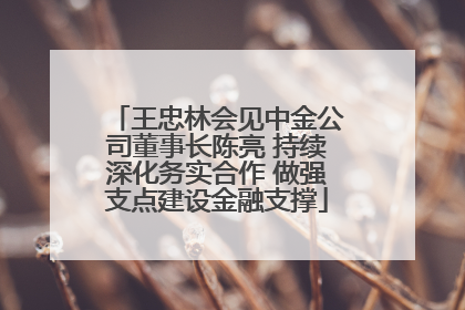 王忠林会见中金公司董事长陈亮 持续深化务实合作 做强支点建设金融支撑