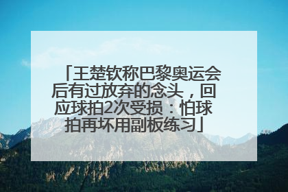 王楚钦称巴黎奥运会后有过放弃的念头，回应球拍2次受损：怕球拍再坏用副板练习