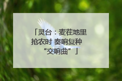 灵台：麦茬地里抢农时 奏响复种“交响曲”