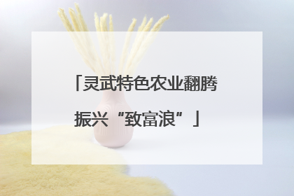 灵武特色农业翻腾振兴“致富浪”