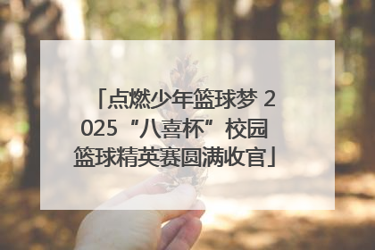 点燃少年篮球梦 2025“八喜杯”校园篮球精英赛圆满收官
