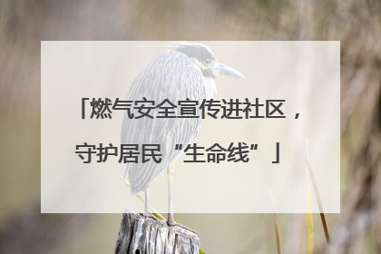 燃气安全宣传进社区，守护居民“生命线”