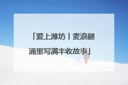 爱上潍坊丨麦浪翻涌里写满丰收故事