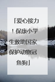 爱心接力！保康小学生救助国家保护动物冠鱼狗