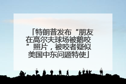 特朗普发布“朋友在高尔夫球场被鹅咬”照片,被咬者疑似美国中东问题特使