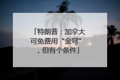 特朗普：加拿大可免费用“金穹”，但有个条件
