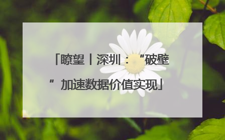 瞭望丨深圳：“破壁”加速数据价值实现