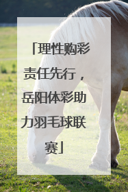 理性购彩责任先行，岳阳体彩助力羽毛球联赛