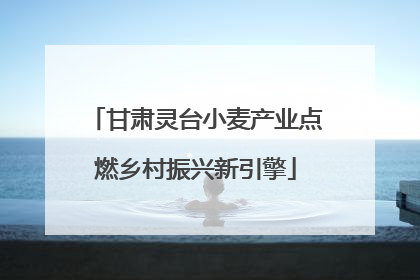 甘肃灵台小麦产业点燃乡村振兴新引擎