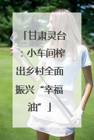 甘肃灵台：小车间榨出乡村全面振兴“幸福油”