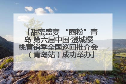 甜蜜盛宴 “圈粉”青岛 第六届中国·澄城樱桃营销季全国巡回推介会（青岛站）成功举办