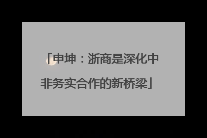 申坤：浙商是深化中非务实合作的新桥梁