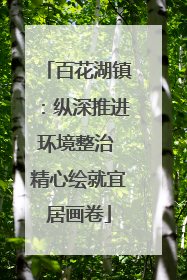 百花湖镇：纵深推进环境整治 精心绘就宜居画卷