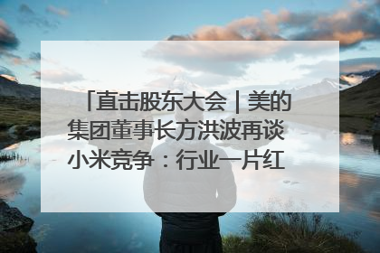直击股东大会|美的集团董事长方洪波再谈小米竞争:行业一片红海,打法已固定,无论谁胜都是消耗战