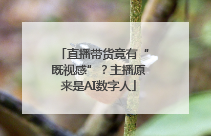 直播带货竟有“既视感”？主播原来是AI数字人
