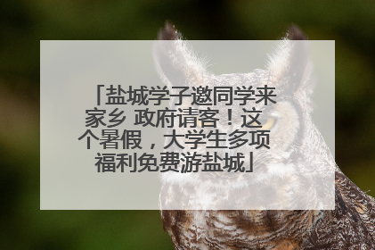 盐城学子邀同学来家乡 政府请客！这个暑假，大学生多项福利免费游盐城
