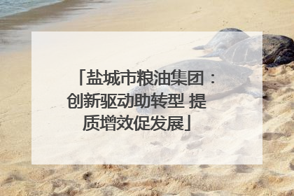 盐城市粮油集团：创新驱动助转型 提质增效促发展