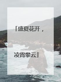 盛夏花开，凌霄攀云
