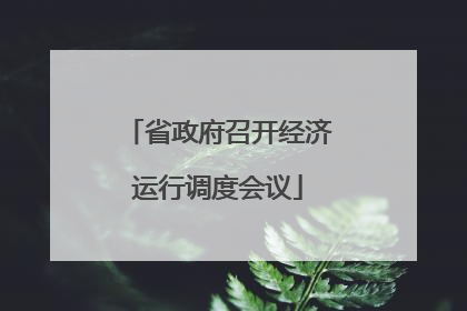 省政府召开经济运行调度会议