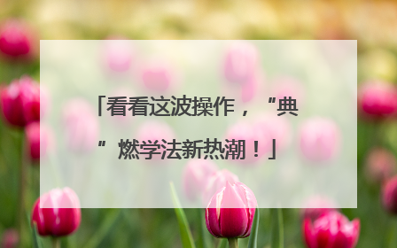 看看这波操作，“典”燃学法新热潮！