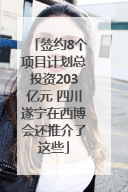签约8个项目计划总投资203亿元 四川遂宁在西博会还推介了这些