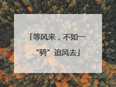 等风来，不如一“骑”追风去