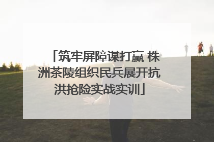 筑牢屏障谋打赢 株洲茶陵组织民兵展开抗洪抢险实战实训
