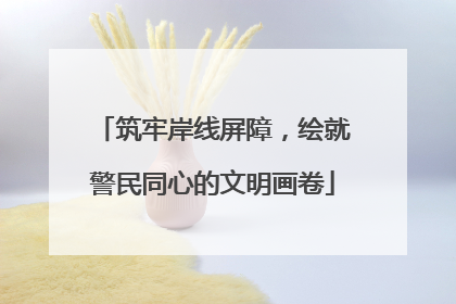 筑牢岸线屏障，绘就警民同心的文明画卷