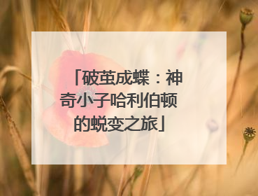 破茧成蝶：神奇小子哈利伯顿的蜕变之旅
