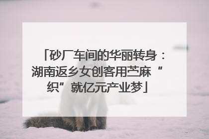 砂厂车间的华丽转身：湖南返乡女创客用苎麻“织”就亿元产业梦