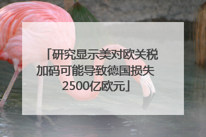 研究显示美对欧关税加码可能导致德国损失2500亿欧元