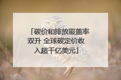 碳价和排放覆盖率双升 全球碳定价收入超千亿美元