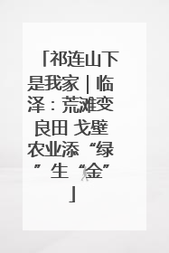 祁连山下是我家｜临泽：荒滩变良田 戈壁农业添“绿”生“金”