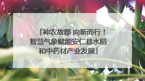 神农故郡 向新而行！智慧气象赋能安仁县水稻和中药材产业发展